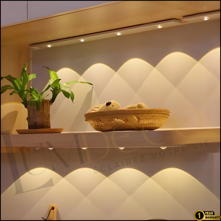 Applique Murale REVA MOTION- RG014