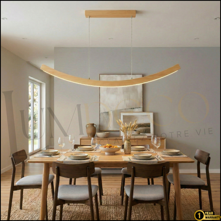 Suspension CURVA